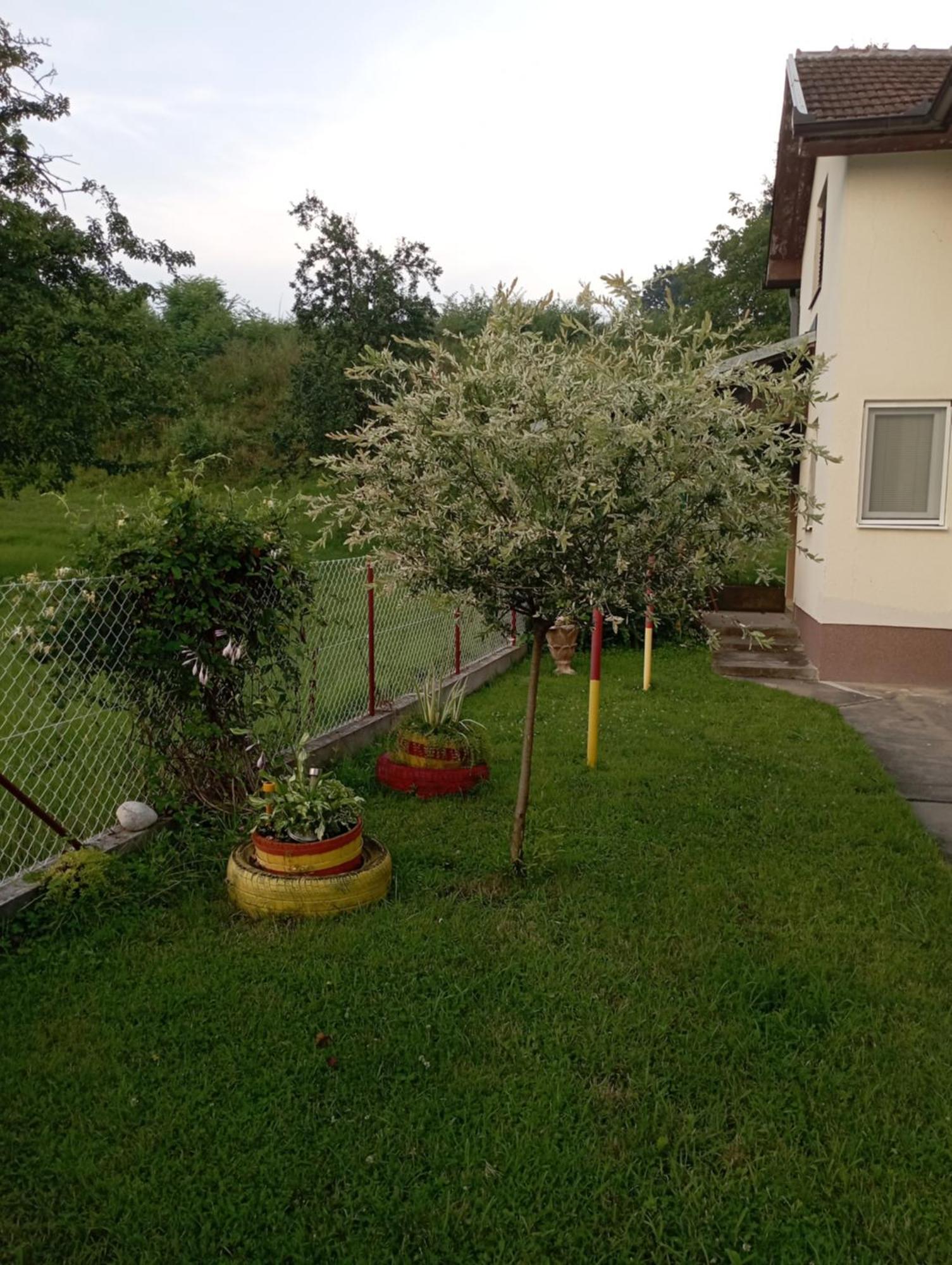 Kuca Za Odmor Zicanka Kraljevo Buitenkant foto