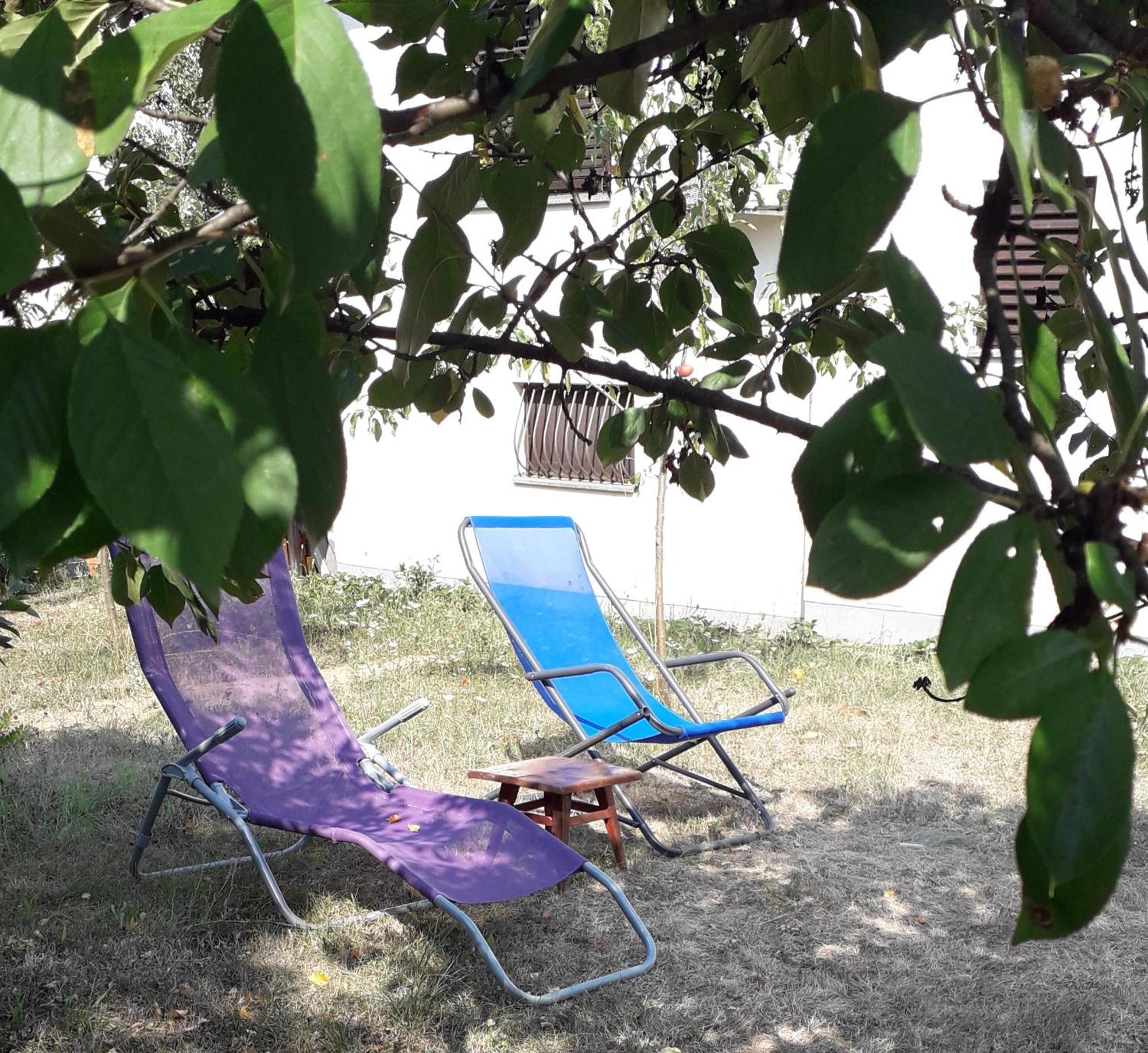 Kuca Za Odmor Zicanka Kraljevo Buitenkant foto