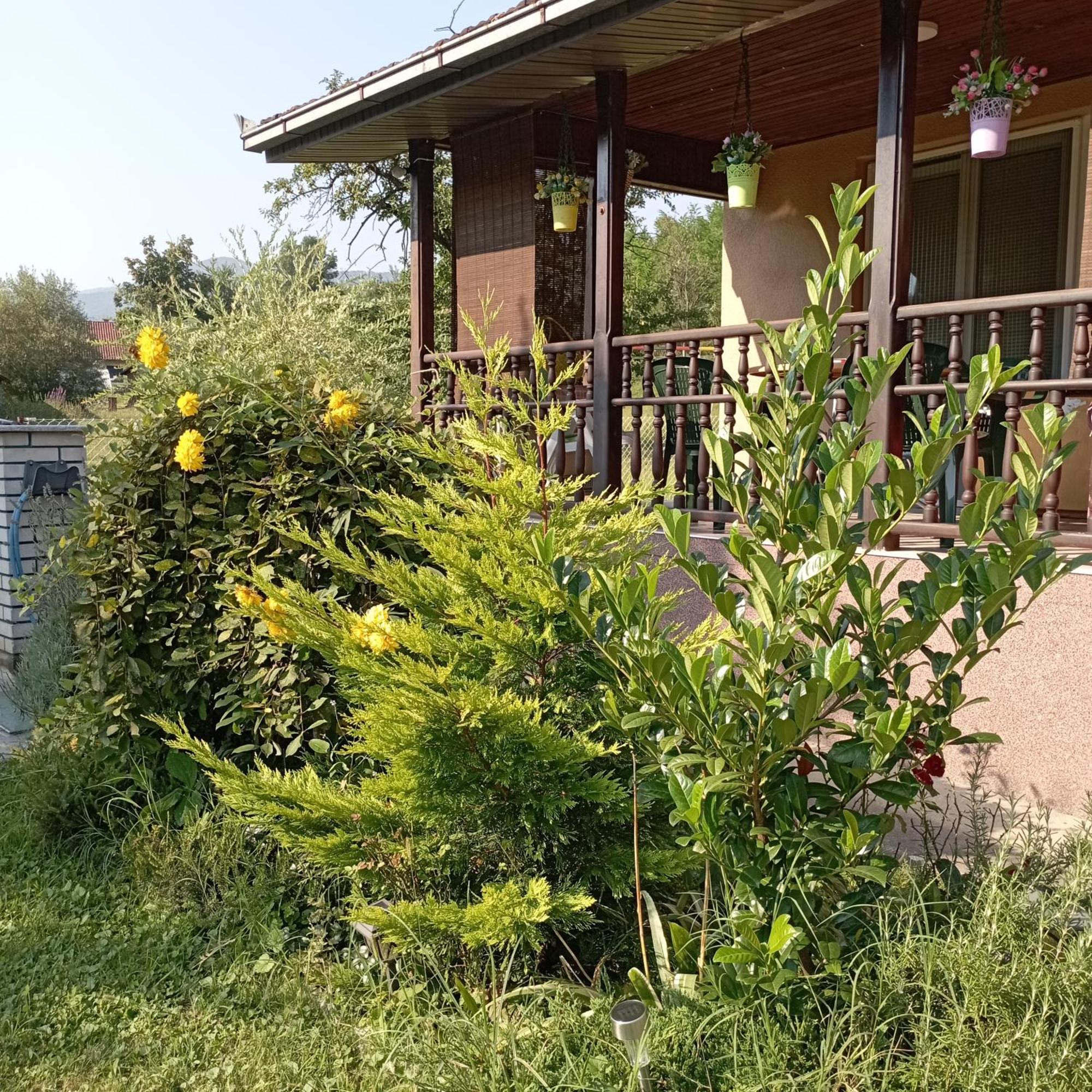 Kuca Za Odmor Zicanka Kraljevo Buitenkant foto
