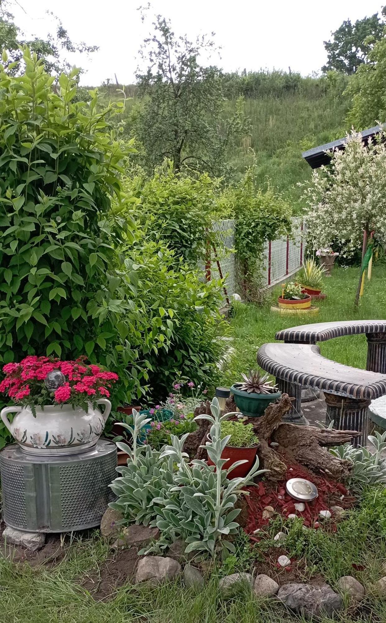 Kuca Za Odmor Zicanka Kraljevo Buitenkant foto